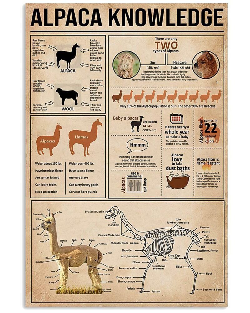 Alpaca Knowledge Vertical Poster Canvas Wall Decor Visual Art 1 1