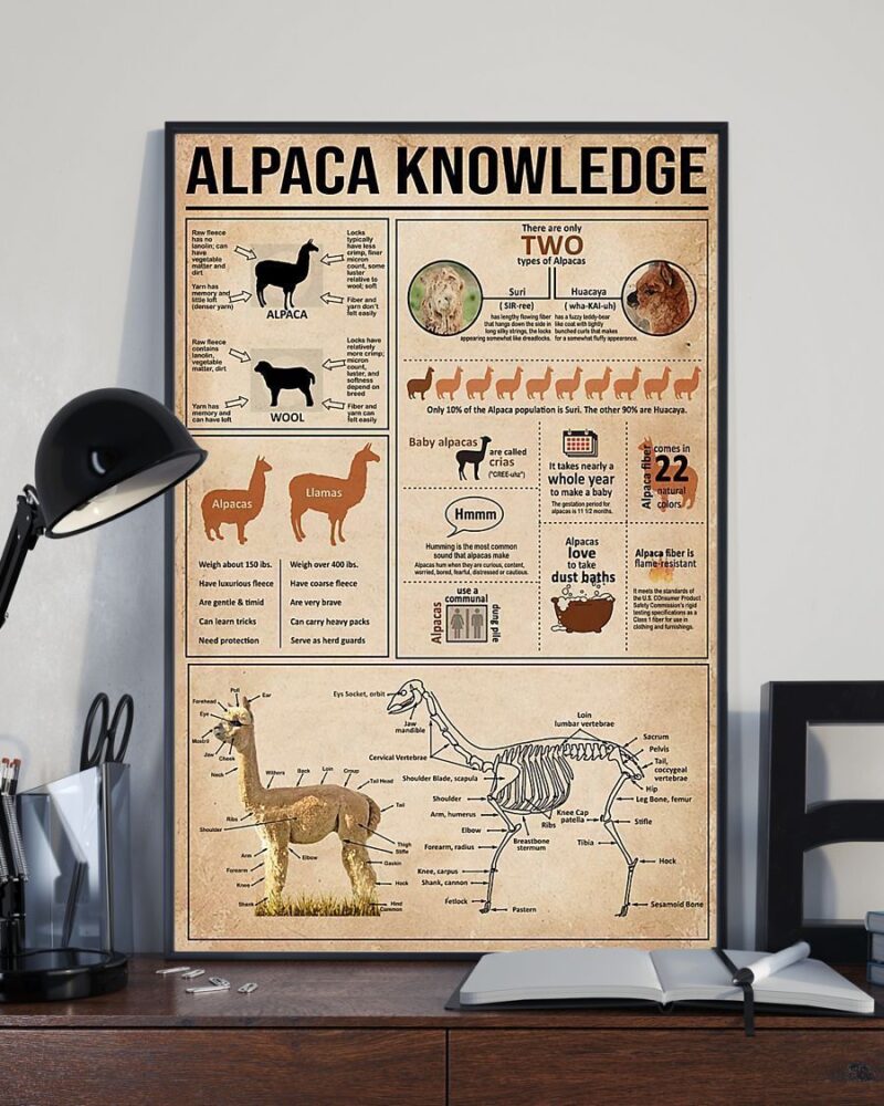 Alpaca Knowledge Vertical Poster Canvas - Wall Decor Visual Art