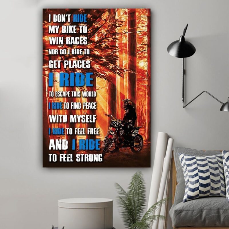Biker poster I dont ride my bike Gift for biker