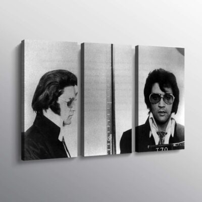 Elvis Presley Police Mugshot Famous Print Wall Art Canvas 2 Elvis Presley Police Mugshot Famous Print Wall Art Canvas 2