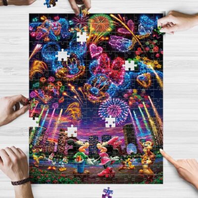 Disney Fan Gift