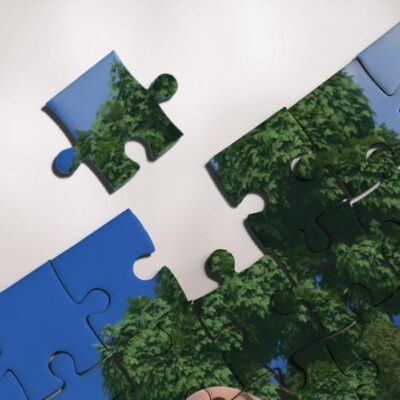 Peanuts All Characters Jigsaw Puzzle Game Snoopy Charlie Brown Woodstock Pig Pen Fan Gift 3