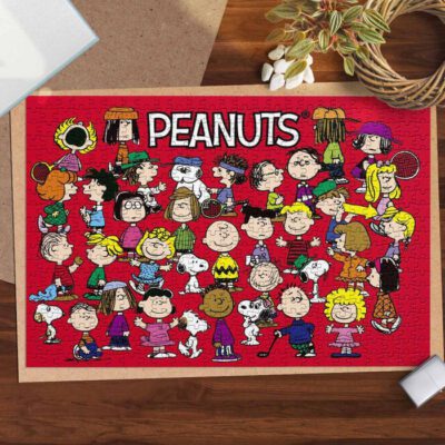 Snoopy The Peanuts Fan Gift