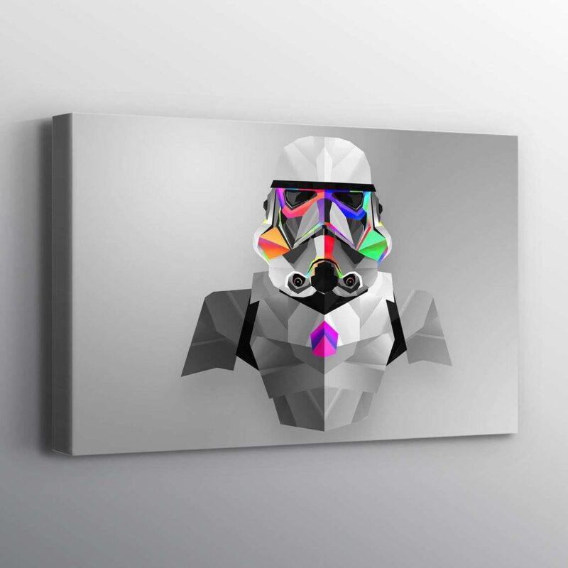 Star Wars Storm Trooper Canvas Print Wall Art 1