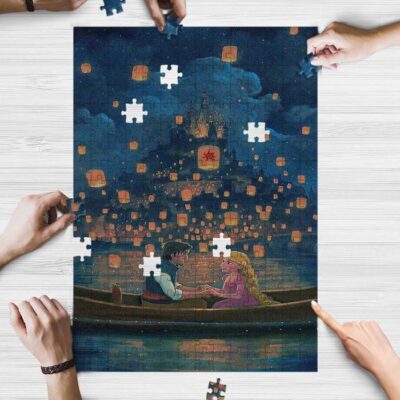Disney Fan Gift