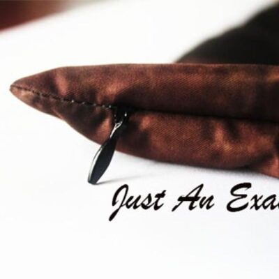 Personalized Detroit Lions Football Custom Pillow Case With Your Name And Number Throw Pillow Gift Sofa Decor 1