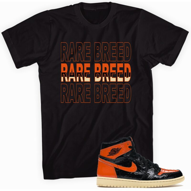 Air Jordan 13 Retro Starfish T Shirt Rare Breed Matching Outfits 1