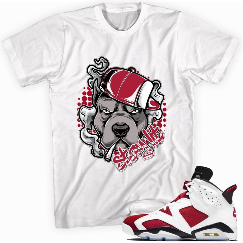 Custom Made to Match - Air Jordan 6 Retro Carmine 2021 T-Shirt - Stay Lit Matching Outfits