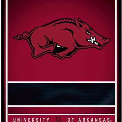 NCAA Arkansas Razorbacks Personalized Custom Metal Parking Sign Wall Decor Indoor Ourdoor 6