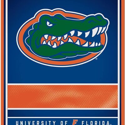 NCAA Florida Gators Personalized Custom Metal Parking Sign Wall Decor Indoor Ourdoor 6