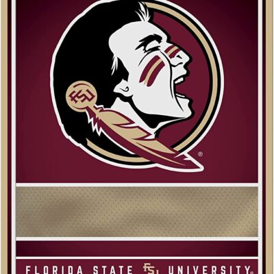 NCAA Florida State Seminoles Personalized Custom Metal Parking Sign Wall Decor Indoor Ourdoor 6