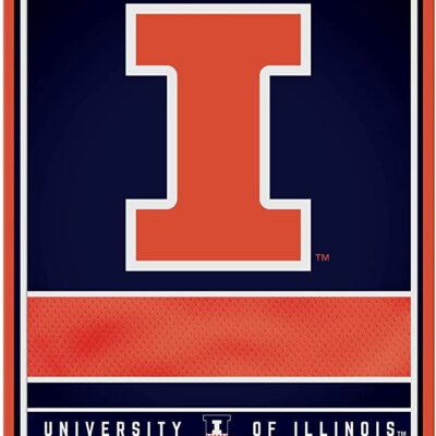 NCAA Illinois Fighting Illini Personalized Custom Metal Parking Sign Wall Decor Indoor Ourdoor 6