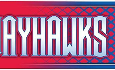 NCAA Kansas Jayhawks Metal Street Sign Decor