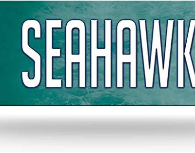 NCAA North Carolina Wilmington Seahawks Metal Street Sign Decor