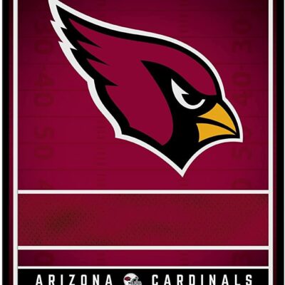 NFL Arizona Cardinals Personalized Custom Metal Parking Sign Wall Decor Indoor Ourdoor 6