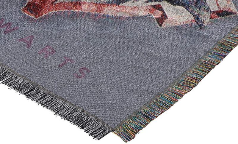 Northwest Woven Tapestry Throw Blanket Houses Together 2