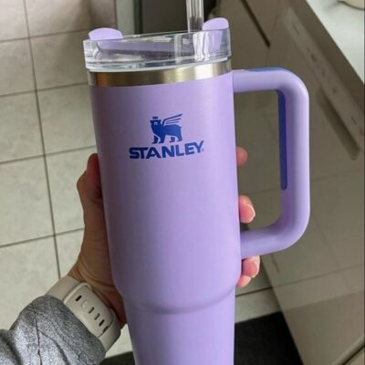Stunning Purple Stanley Tumbler Trending KTB1034