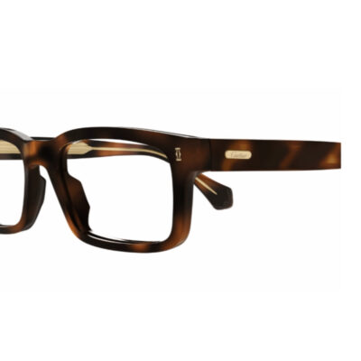 Cartier Glasses 0291O 010 54 2 CARTIER 0291O 010 54 closeup