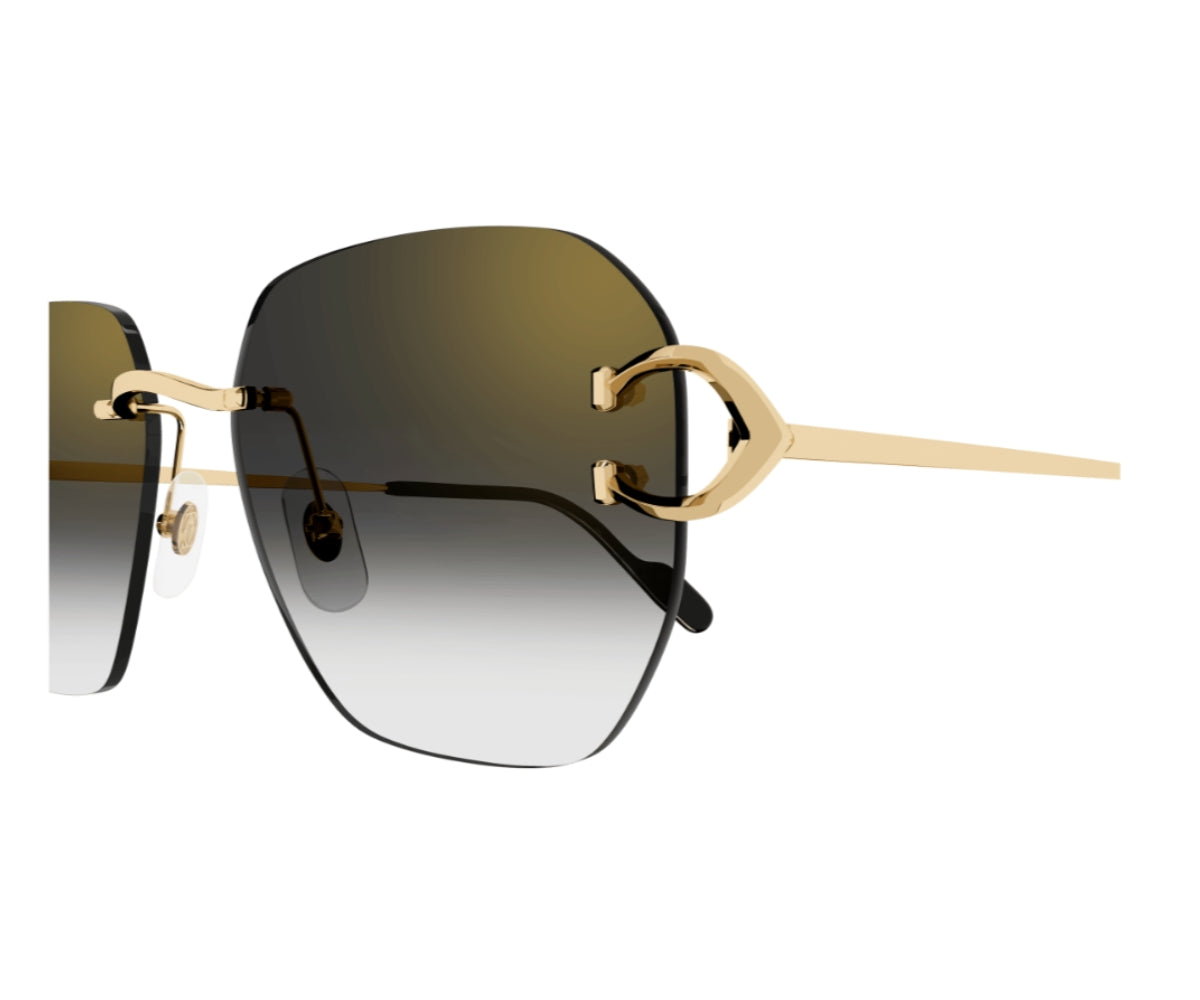 CARTIER_0394S_001_58_closeup.jpg CARTIER 0394S 001 58 closeup