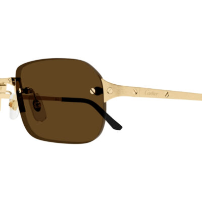 Santos de Cartier Sunglasses - CT0460S 002 2 CARTIER 0460S 002 56 closeup