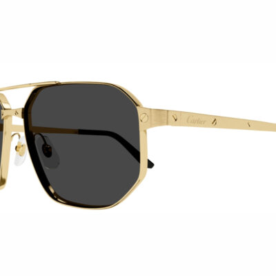 Santos de Cartier Sunglasses - CT0462S 001 2 CARTIER 0462S 001 60 closeup
