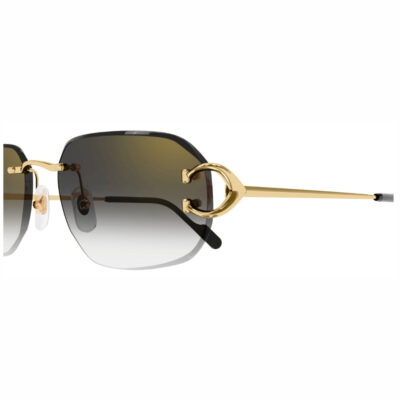 Cartier Sunglasses Piccadilly CT0468S 2 CARTIER 0468S 001 58 closeup