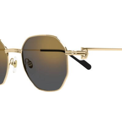 Premiere de Cartier Sunglasses 0500S 001 2 CARTIER 0500S 001 50 closeup
