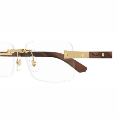 CARTIER 0513O 004 57 closeup