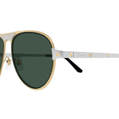 Santos de Cartier Sunglasses CT0533S 002 2 CARTIER 0533S 002 58 closeup