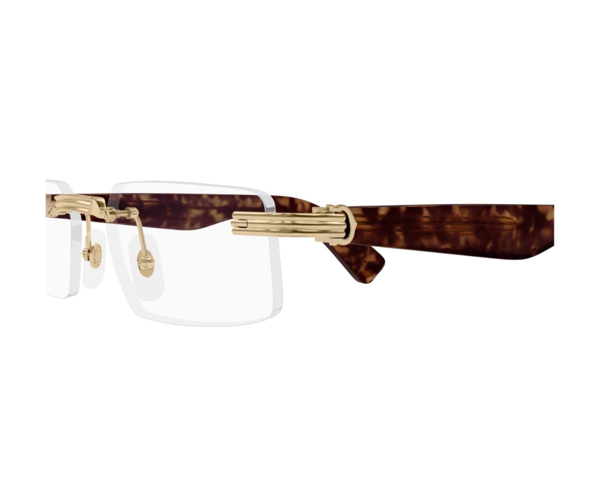 CARTIER_0537O_002_55_CloseUp.jpg CARTIER 0537O 002 55 CloseUp