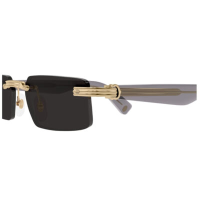 Premiere de Cartier Sunglasses - CT0537S 001 2 CARTIER 0537S 001 55 Closeup