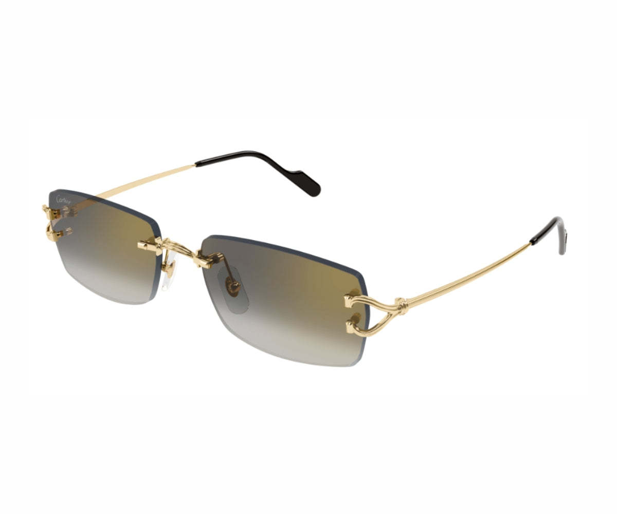 CARTIER_0550S_001_55_3045.jpg CARTIER 0550S 001 55 3045