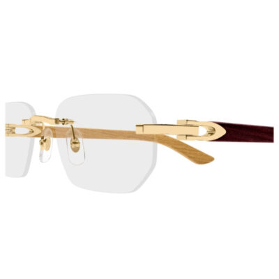 Cartier CT0583O 002 55 Glasses 2 CARTIER 0583O 002 55 CloseUp