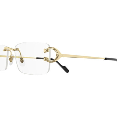 Cartier Signature C de Cartier Glasses - CT0344 001 2 Cartier Glasses 0344O 001 53 closeup